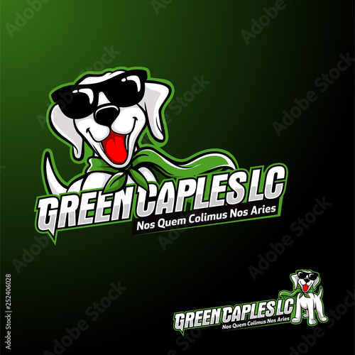 Super Dog Animal mascot Logo
