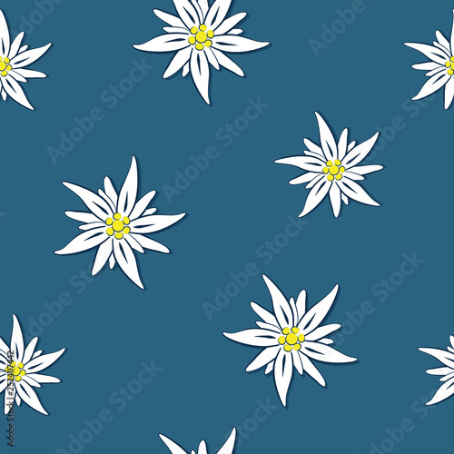 seamless pattern edelweiss flower on blue background vector illustration EPS10