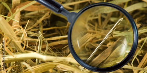 Fotografie image of a magnifying glass and needles in a haystack