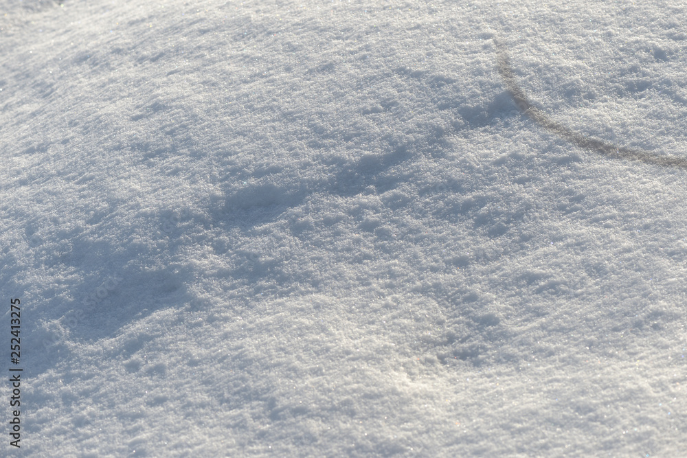 The texture of the snow close up. WInter background The texture of the snow close up. WInter background