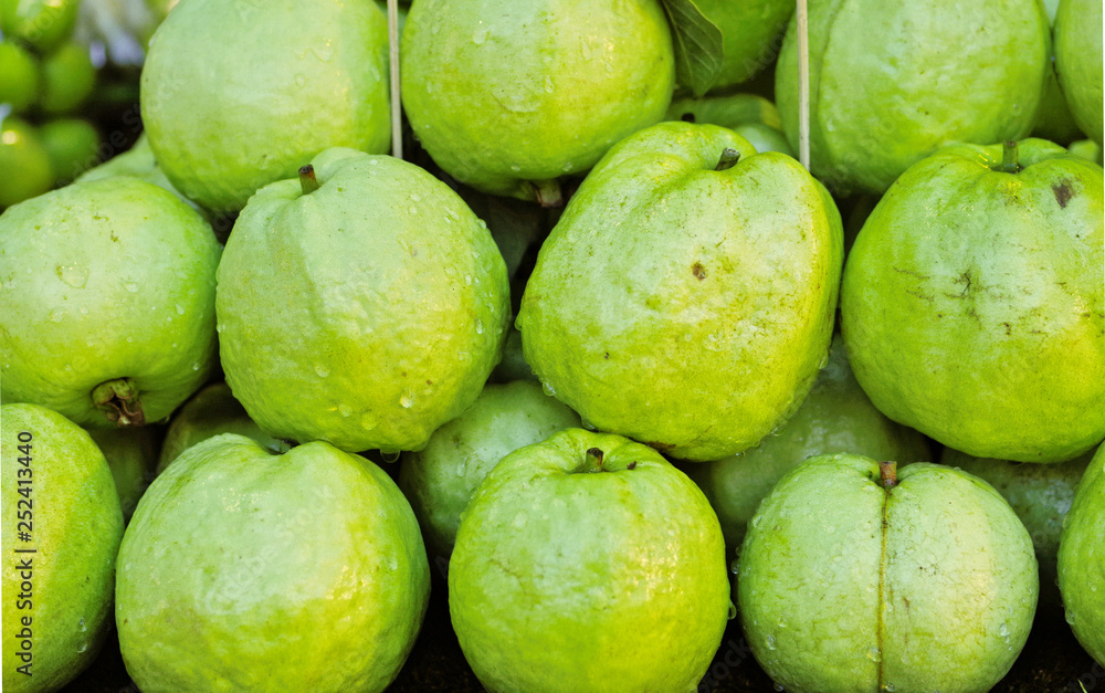Close up of fresh common guava , Thai white guava (Psidium guajava var