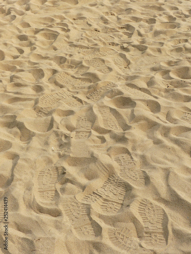 footprints on the sand of a beach