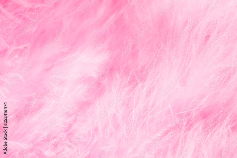 Macro of pastel bird fluffy feathers in soft color and blur style for background Macro of pastel bird fluffy feathers in soft color and blur style for background