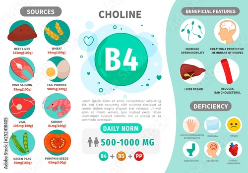 Infographics Vitamin B4. Products containing vitamin. Daily norm. Symptoms of deficiency. Vector medical poster.