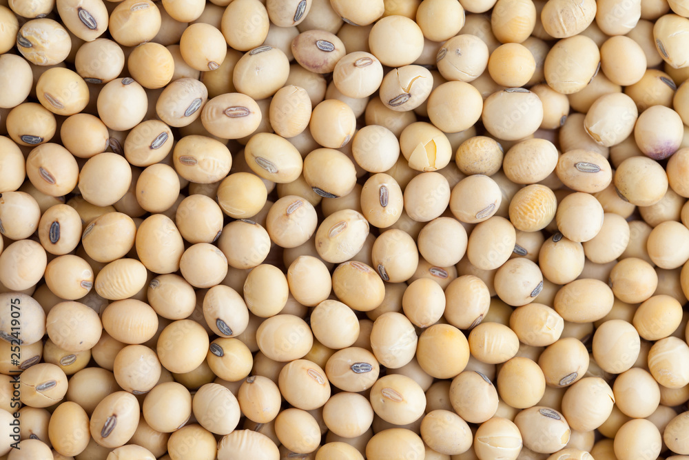 Soybeans texture nature background, closeup Soybeans texture nature background, closeup