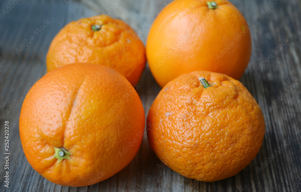 Set of citrus fruits from tangerines, kumquats, oranges and lemons Set of citrus fruits from tangerines, kumquats, oranges and lemons