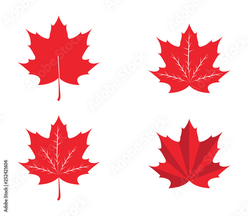 Maple Leaf Vector illustration design Logo template