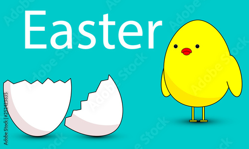 Chick looks at Easter eggshell