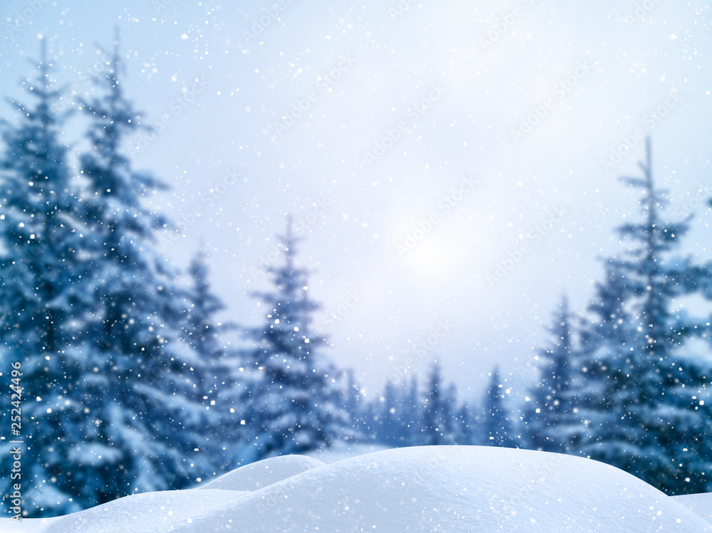 Winter Christmas scenic background with copy space. Blurred snow landscape with spruce branches covered with snow, snowdrifts and falling snow.