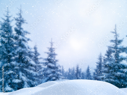 Winter Christmas scenic background with copy space. Blurred snow landscape with spruce branches covered with snow, snowdrifts and falling snow. © Creatikon Studio