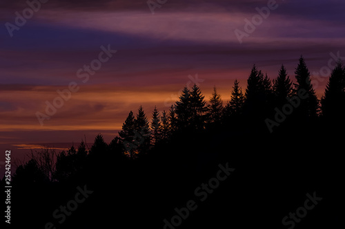 Pine trees silhouette against a colorful  warm toned sunrise sky