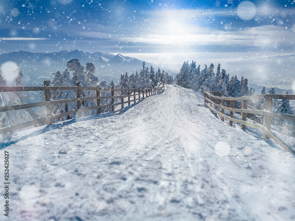 Fototapeta premium Winter snow wonderland landscape. Christmas scenic background with falling snow and bokeh soft lights, trees and road covered in snow. View of Bucegi mountains in the background, Brasov, Romania.