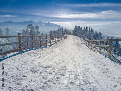 Winter snow wonderland landscape. Christmas scenic background with mountains, trees and road covered in snow. View of Bucegi mountains, Brasov, Romania. © Creatikon Studio
