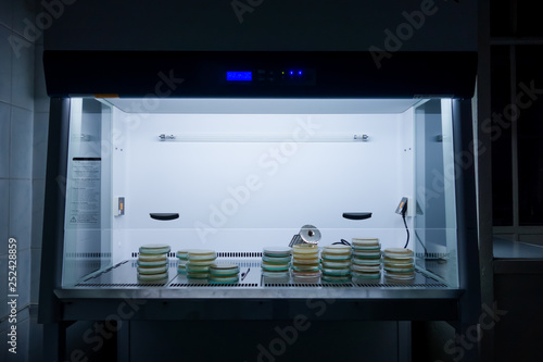 Fotografie Sterile microbiological cabinet with petri dishes inside