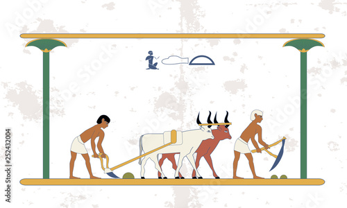 Ancient egypt background. Peasants with a team of bulls plow the field. Historical background. Ancient people