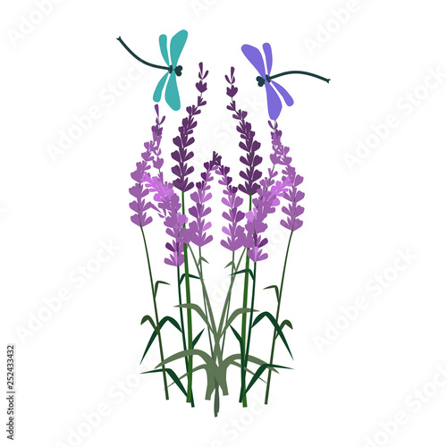 Violet delphinium illustration. Flower, plant, nature. Spring concept. Vector illustration can be used for topics like garden, field flowers, nature