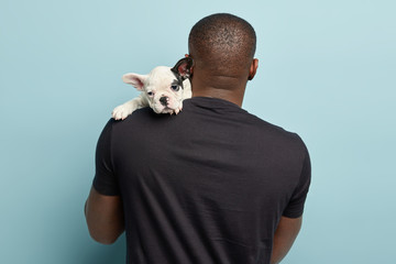 Black plump man stands back to camera, carries small puppy on shoulder, going to have walk together, carries animal home. Sad french bulldog looks away from back of its owner. Pedigree dog indoor