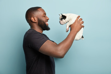 Horizontal sideways shot of happy black man with thick bristle, being in good mood, plays with funny puppy, holds french bulldog, makes sure dog feels comfortable in hosts hands, isolated on blue wall