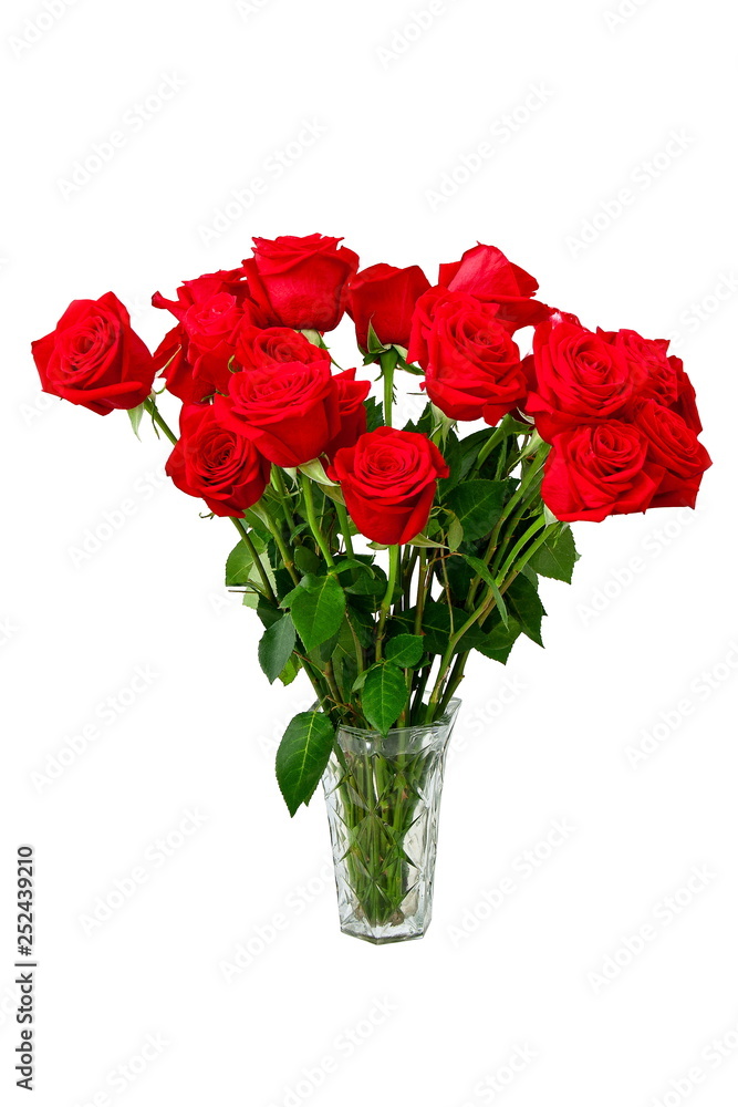 red roses in glass vase on white background red roses in glass vase on white background