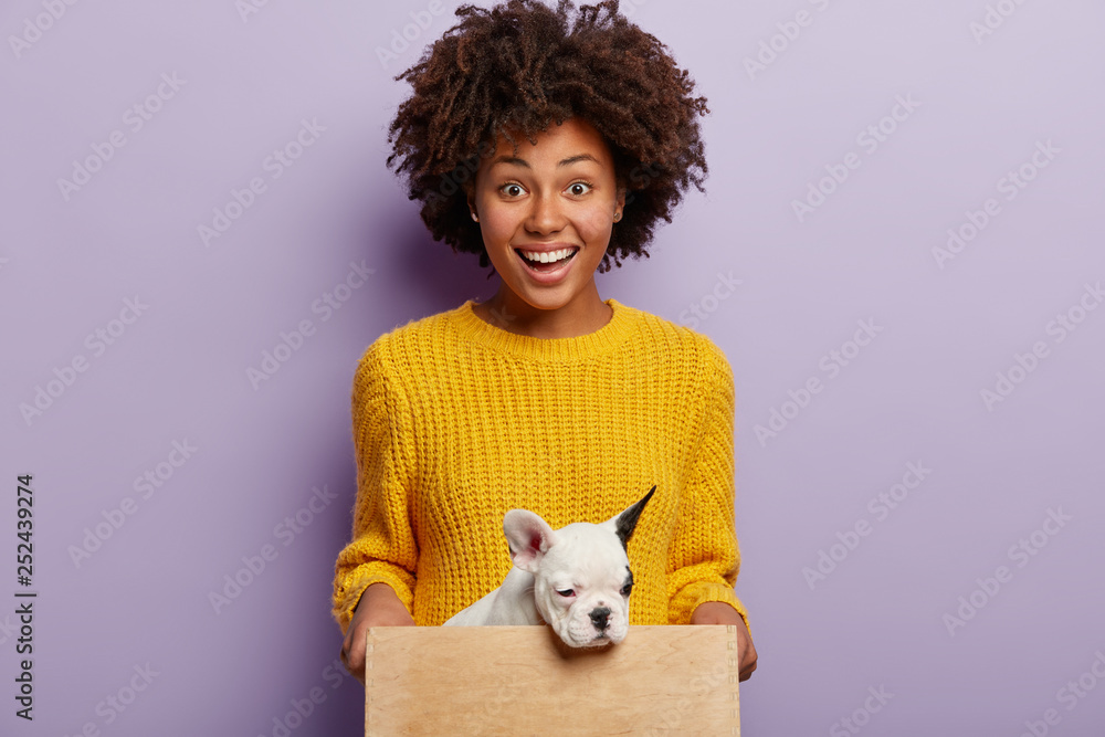 Leave in good hands. Satisfied woman has toothy smile, holds wooden box with small puppy who has sleepy expression, going to have housetraining, isolated over purple background. Photoshoot with dog Leave in good hands. Satisfied woman has toothy smile, holds wooden box with small puppy who has sleepy expression, going to have housetraining, isolated over purple background. Photoshoot with dog