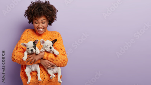 Good humoured optimistic dark skinned lady carries closely two pedigree puppies, finds new host or hostess for them, has playful expression, dressed in orange jumper, isolated on lilac studio wall photo