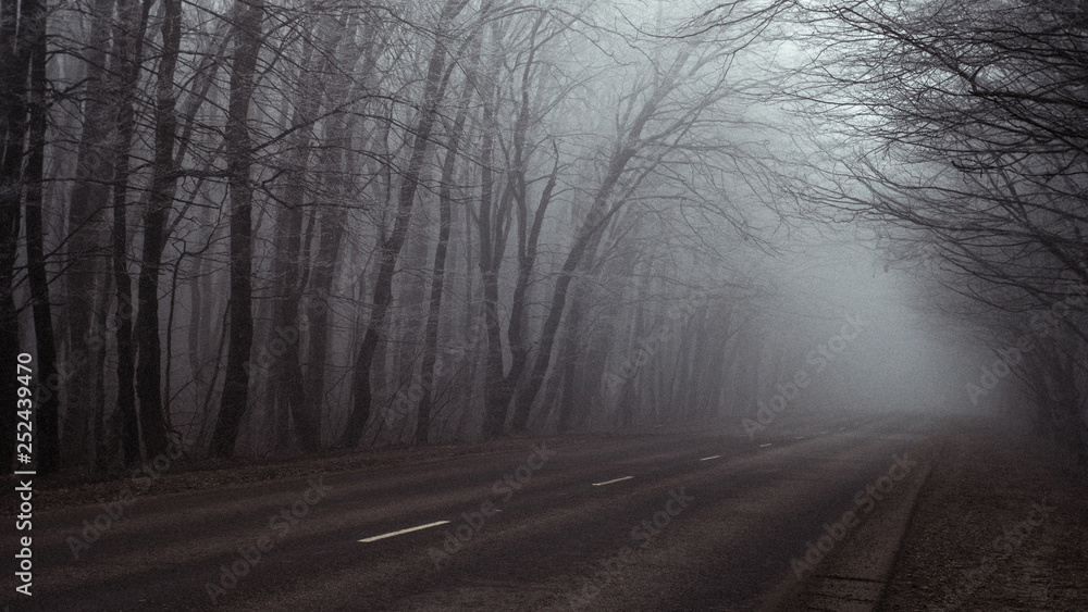 Misty highway