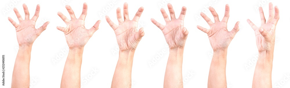 Multiple Male Caucasian hand gestures isolated over the white background, set of multiple images. ZOBIES HAND. Multiple Male Caucasian hand gestures isolated over the white background, set of multiple images. ZOBIES HAND.