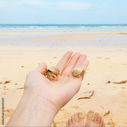 mano con hermit crab tailand photo