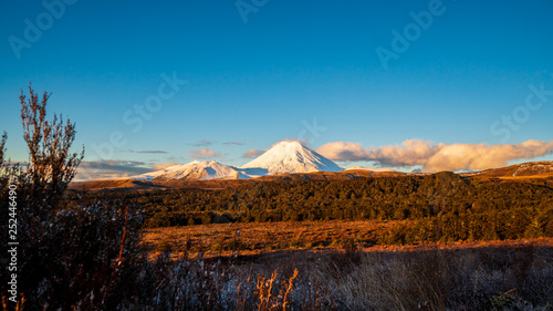 Obraz na płótnie Mount Ngauruhoe at sunset w salonie
