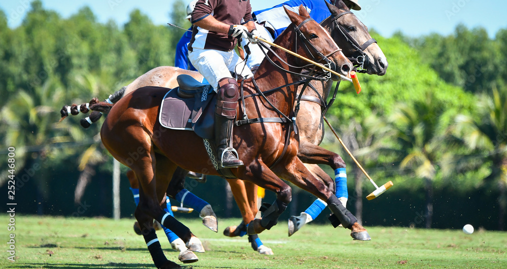 Polo Player battle in match.
