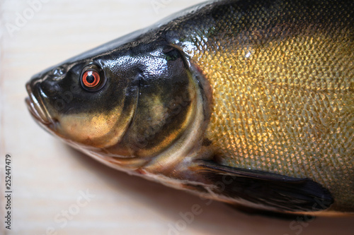 Coloring black lyn fish on a light board. Cooking food in a restaurant with fresh meat. Stock background, photo