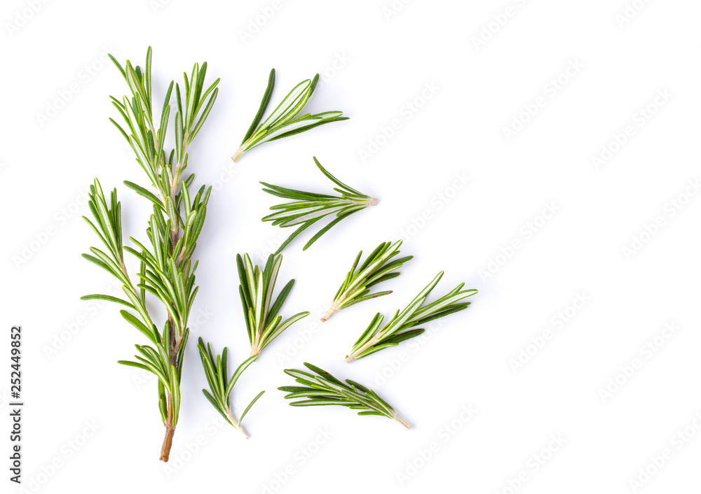 Obraz premium Rosemary isolated on white background, Top view.