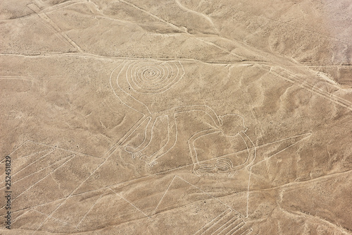 Nazca lines from the aircraft - monkey