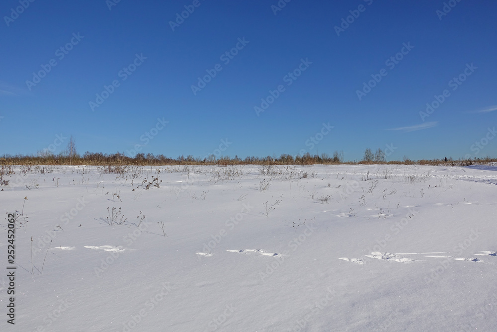 Snow-covered field. And the blue sky. Frosty winter day. Snow-covered field. And the blue sky. Frosty winter day.