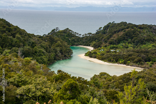 An inlet with blue sea  white sand and green trees in the Abel Tasman National Park  New Zealand