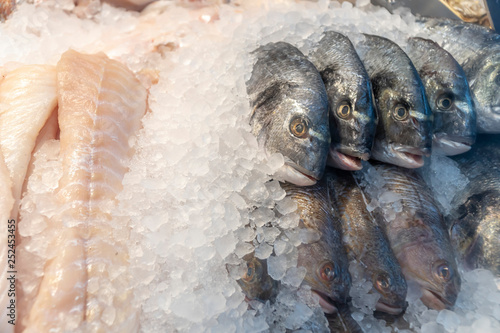 grey fishes served on ice photo