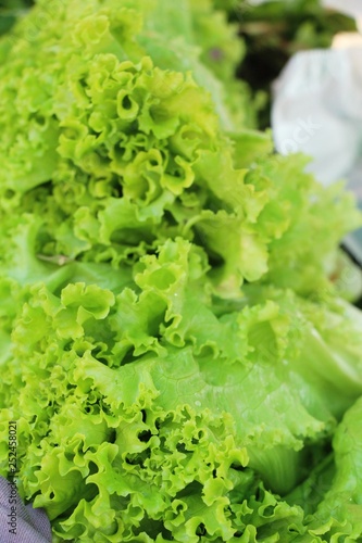 Fresh lettuce for cooking at street food.