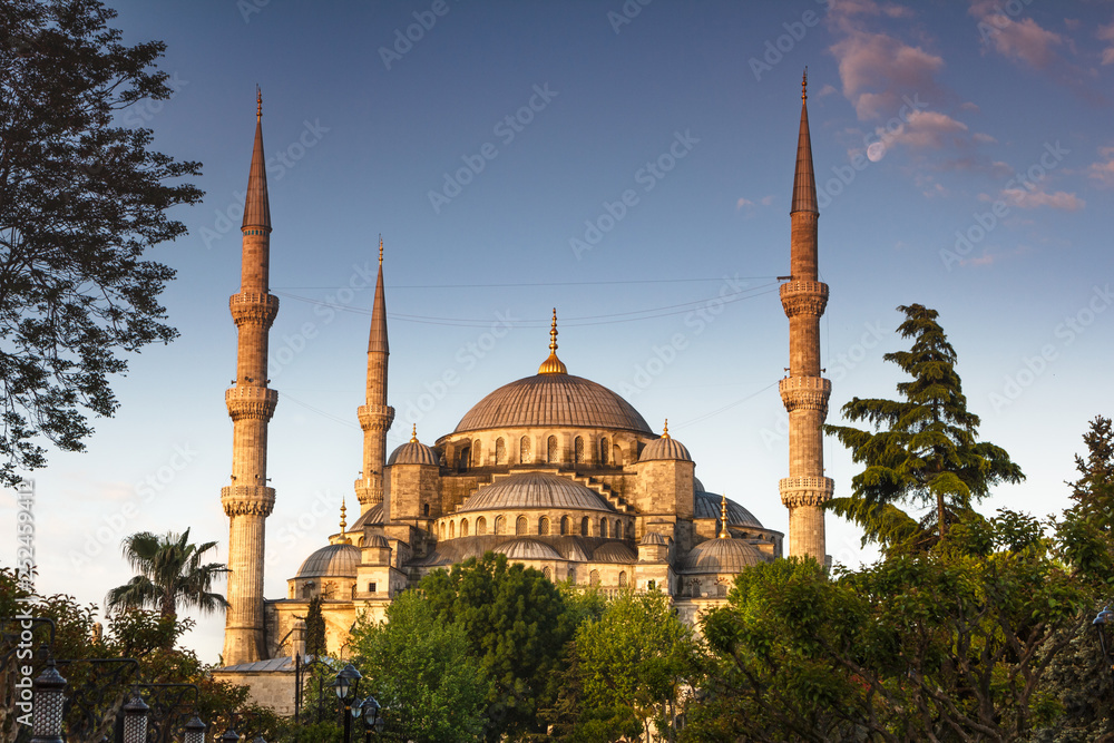 Beautiful view of the famous Blue Mosque (Sultanahmet Camii) in morning. Istanbul.Top tourist attraction in Turkey. Concept of travel, sightseeing and tourism.