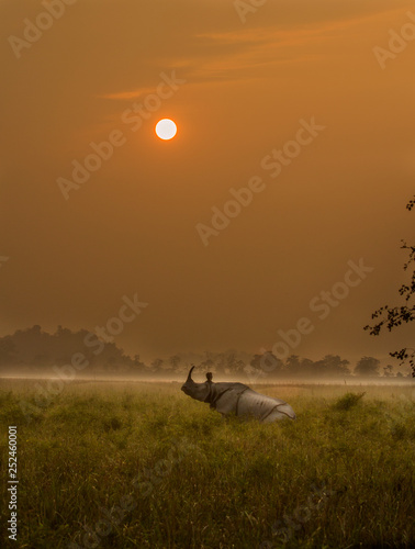 Sunset in Kaziranga