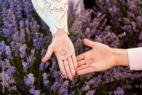 Wedding rings on hands in the field of lavender.