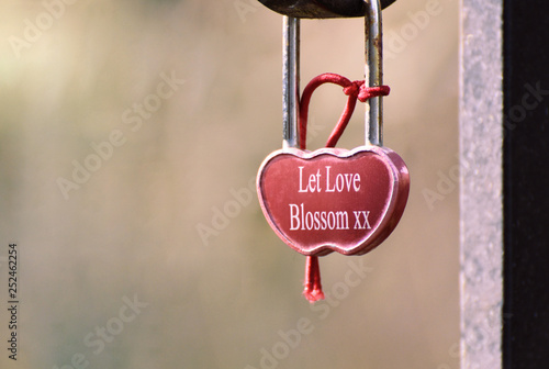 A love lock with the message 'Let Love Blossom'