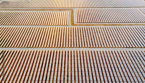 Solar panels in aerial view.