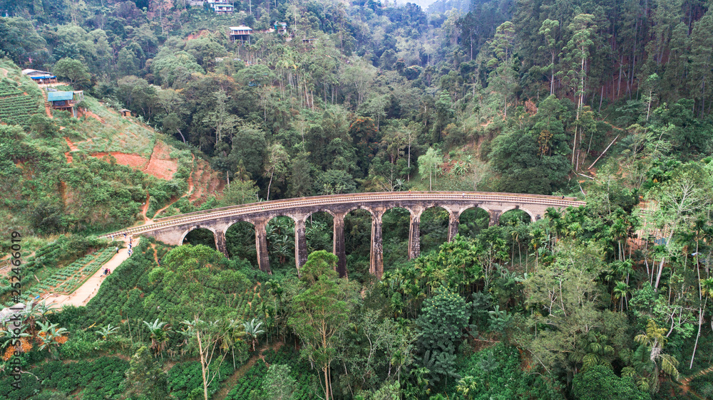 the Nine Arches Demodara Bridge near Ella city, Sri Lanka