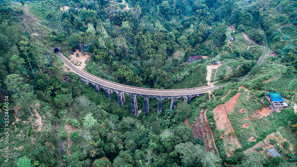 Fototapeta premium The way from Ella to the Nine Arches Demodara Bridge Sri Lanka