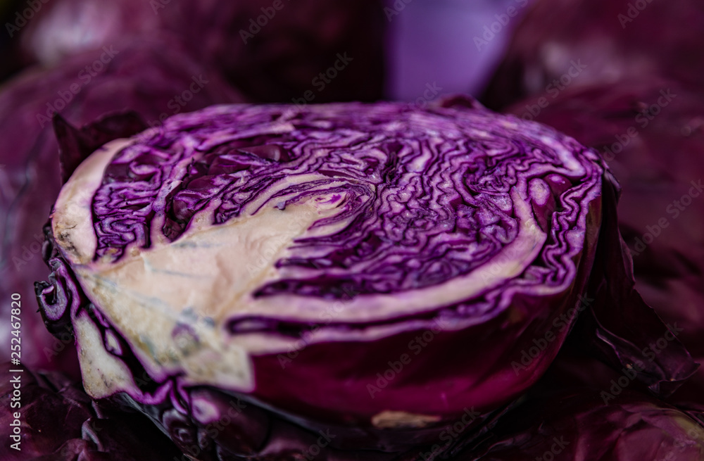 Fototapeta premium Red Cabbage