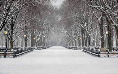 Central Park, New York City in winter