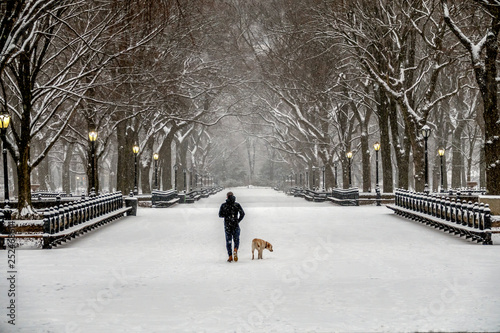 Central Park, New York City in winter