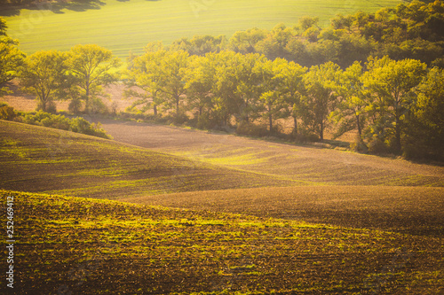 Wavy  autumn fields in Moravian Tuscany, Czech Republic © Pavel Rezac