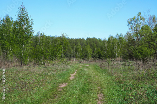 Dirt road in a field on a sunny day. Endless horizon panorama. Stock background, photo