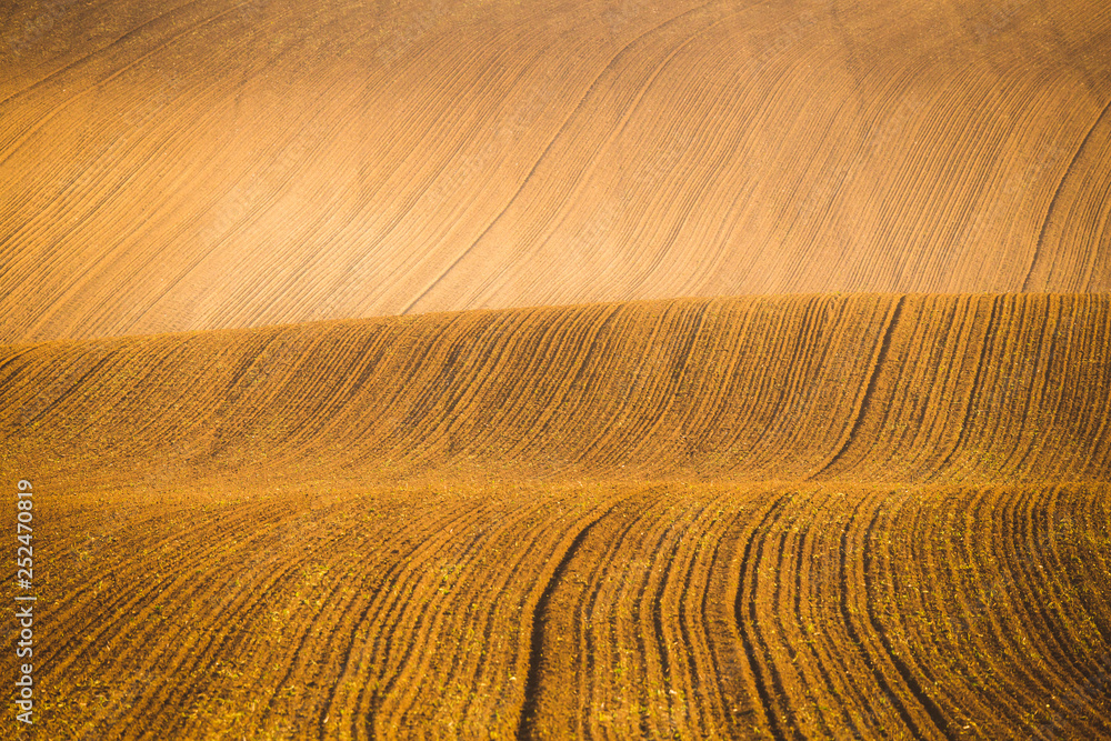 Wavy autumn fields in Moravian Tuscany, Czech Republic Wavy autumn fields in Moravian Tuscany, Czech Republic